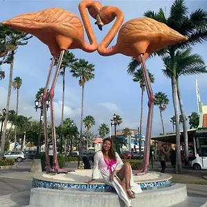 Apartahotel Harmony Hotel Hostel Aruba